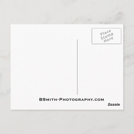 Elch Postkarte (Rückseite)