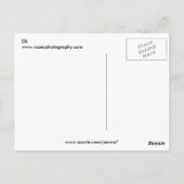 Elch Postkarte (Rückseite)