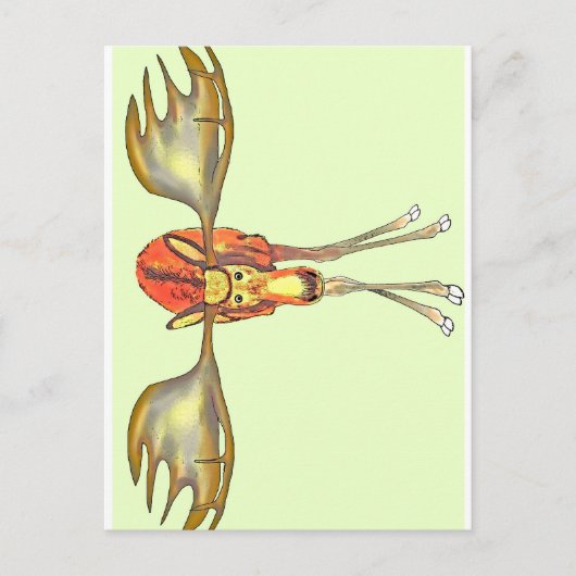 Elch Postkarte (Vorderseite)