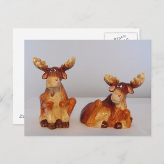 Elch Postkarte (Vorne/Hinten)