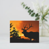 Elch Postkarte (Stehend Vorderseite)