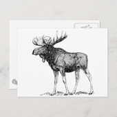 Elch Postkarte (Vorne/Hinten)