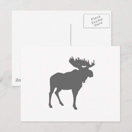 Elch Postkarte (Vorne/Hinten)