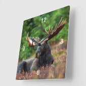Elch Quadratische Wanduhr (Winkel)