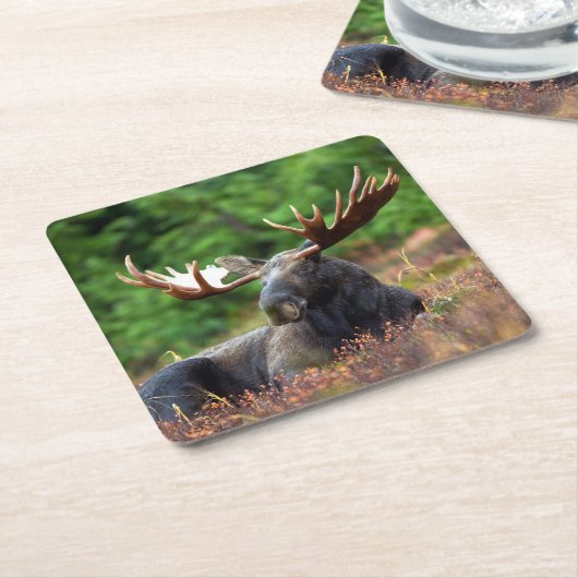 Elch Rechteckiger Pappuntersetzer (angewinkelt)