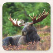 Elch Rechteckiger Pappuntersetzer (Vorderseite)