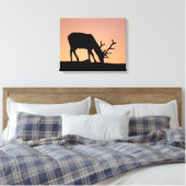 Elch | Rocky Mountains National Park, Colorado Leinwanddruck (Insitu (Schlafzimmer))