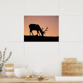 Elch | Rocky Mountains National Park, Colorado Poster (Küche)