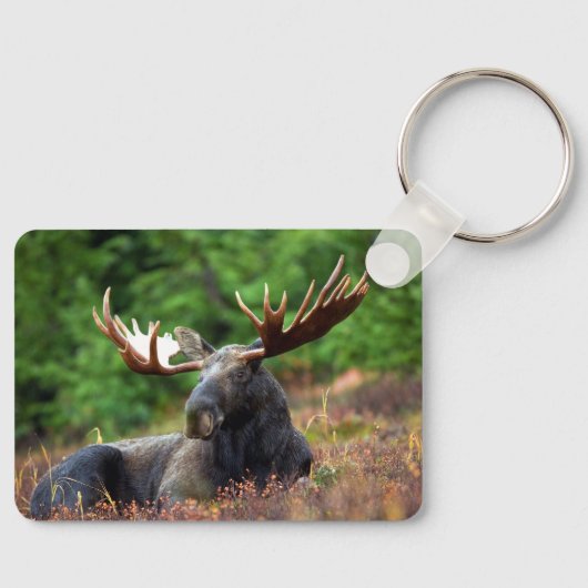 Elch Schlüsselanhänger (Vorderseite)