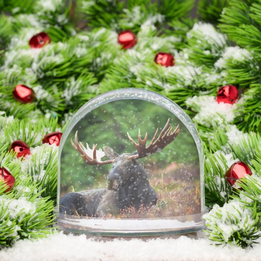 Elch Schneekugeln (Weihnachten)