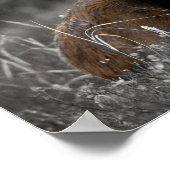 Elch Schwarz-weißes Foto monochromatisch Rustikal Poster (Ecke)