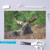 Elch Seidenpapier (Handwerk)