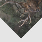 Elch Seidenpapier (Ausschnitt)