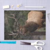 Elch Seidenpapier (Handwerk)