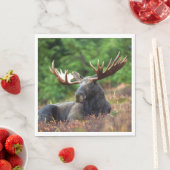 Elch Serviette (Beispiel)