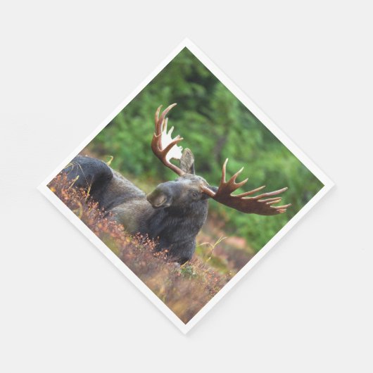 Elch Serviette (Ecke)