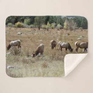 Elch-Sherpa-Decke Sherpadecke