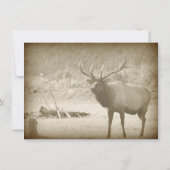 Elch-Spiel-Tier-Geweihe, die Einladungen Wedding (Rückseite)