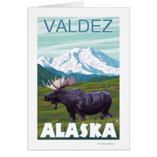 Elch-Szene - Valdez, Alaska