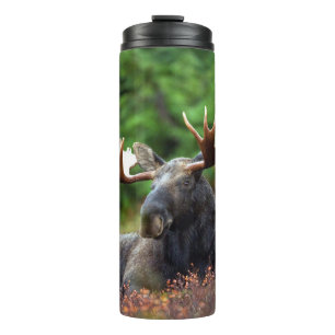 Elch Thermosbecher