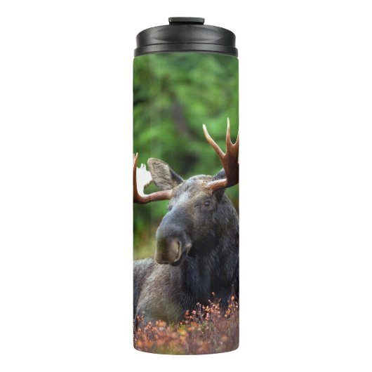 Elch Thermosbecher (Vorderseite)