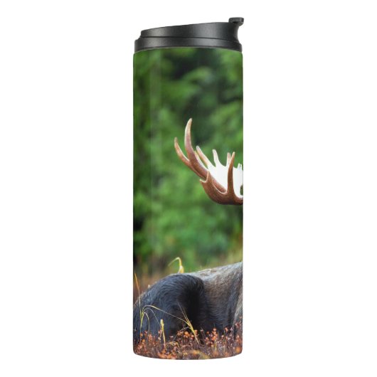 Elch Thermosbecher (Nach links gedreht)