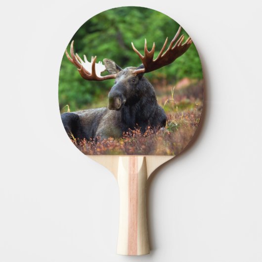 Elch Tischtennis Schläger (Vorderseite)