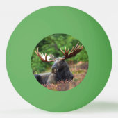 Elch Tischtennisball (Rückseite)
