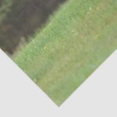 Elch Tissue Paper Seidenpapier (Ausschnitt)