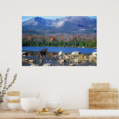 Elch und Berg Katahdin Poster (Küche)