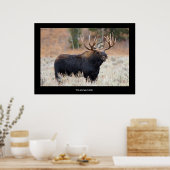 Elch und Eichhörnchen "TEAMWORK" Motivierend Poste Poster (Küche)