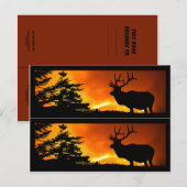 Elch- und Waldbrandmarken Postkarte (Vorne/Hinten)