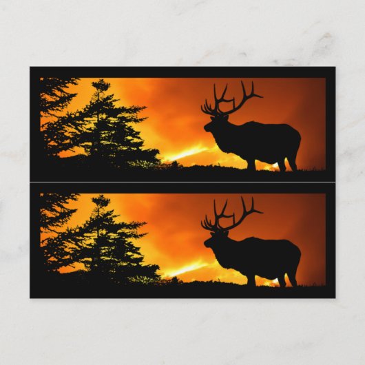 Elch- und Waldbrandmarken Postkarte (Vorderseite)