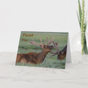 elch Vielen Dank Hinweis Dankeskarte