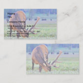 Elch Visitenkarte (Vorne/Hinten)