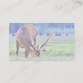 Elch Visitenkarte (Rückseite)