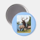 Elch Wapiti Magnet (Vorderseite/Rückseite)