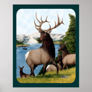 Elch Wapiti Poster