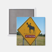 Elch-Warnschild Magnet (Vorderseite/Rückseite)