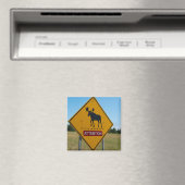 Elch-Warnschild Magnet (In Situ (Geschirrspüler))