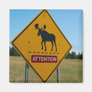 Elch-Warnschild Magnet