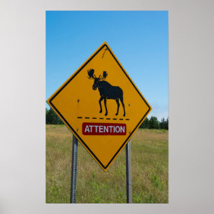 Elch Warnschild Poster