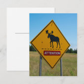 Elch-Warnschild Postkarte (Vorne/Hinten)