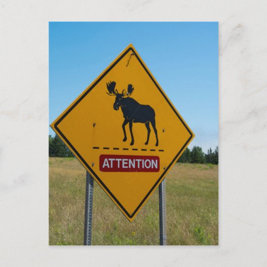 Elch-Warnschild Postkarte (Vorderseite)