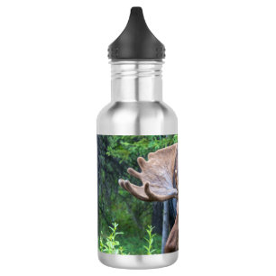 Elch-Wasserflasche Edelstahlflasche