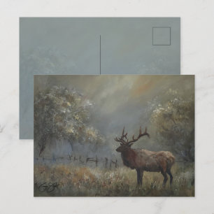 Elch-Wiesen-Postkarte Postkarte