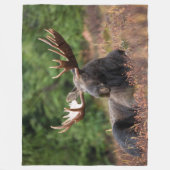 Elch, Wildtiere, Foto, Gewohnheit Fleecedecke (Vorderseite)