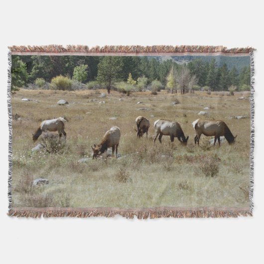 Elch-Wurfdecke Decke (Vorderseite)