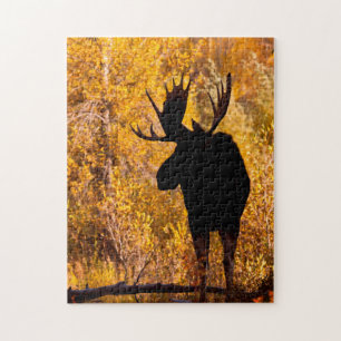Elchbulle (Alces Alces) in goldenen Weiden 2 Puzzle