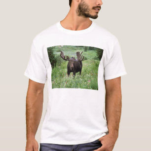 Elchbulle (Alces alces) in Wildblumen, T-Shirt